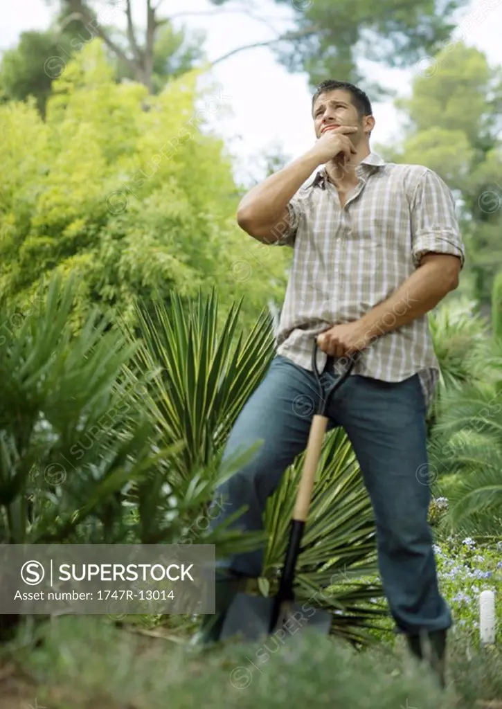 Man doing yard work, holding shovel, looking up