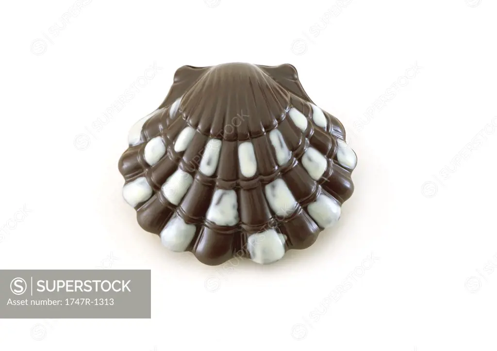 Chocolate seashell