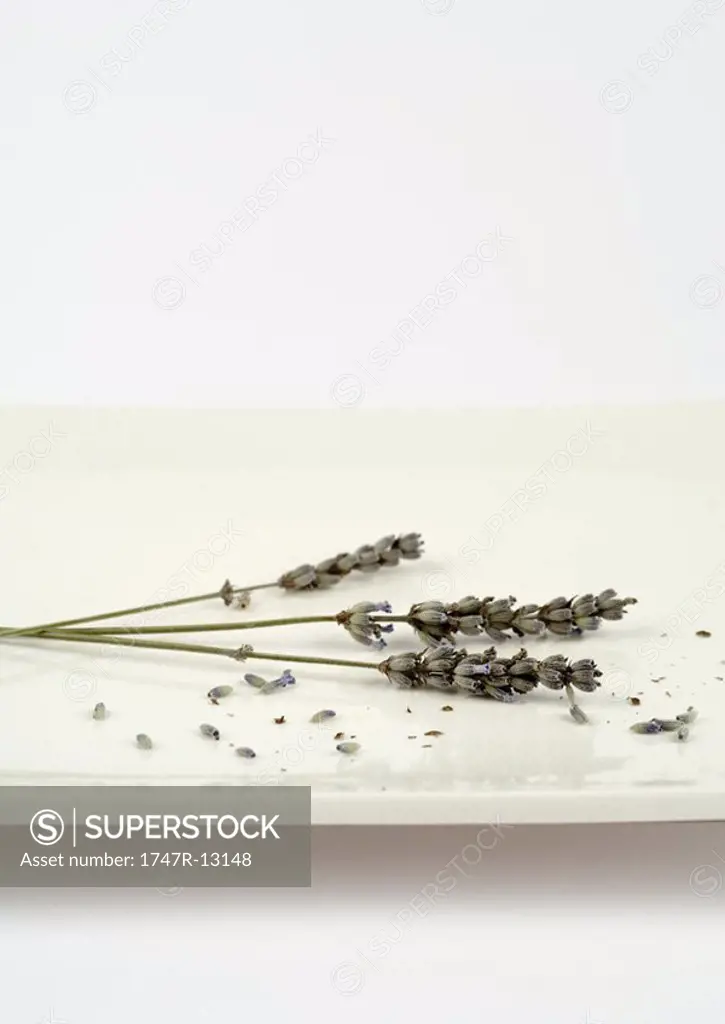 Sprigs of dried lavender on dish