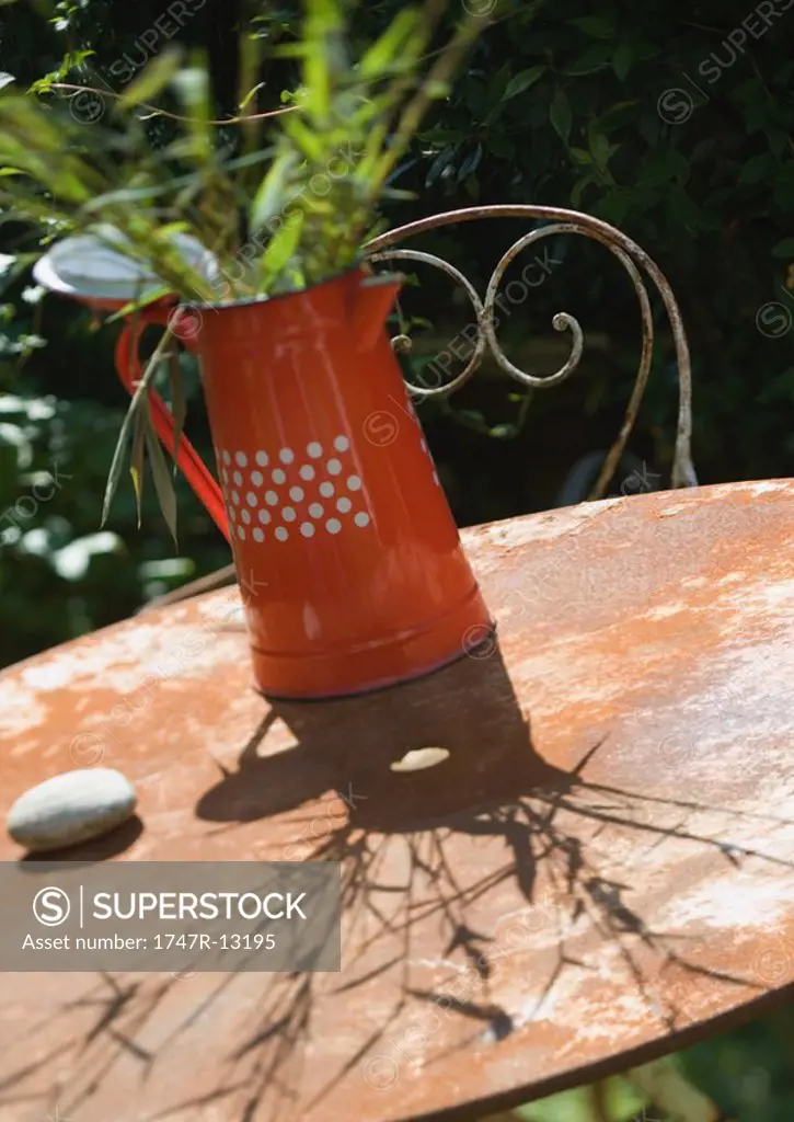 Bamboo stems in pitcher, on outdoor table