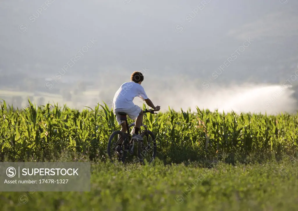 Mountain biker riding through field