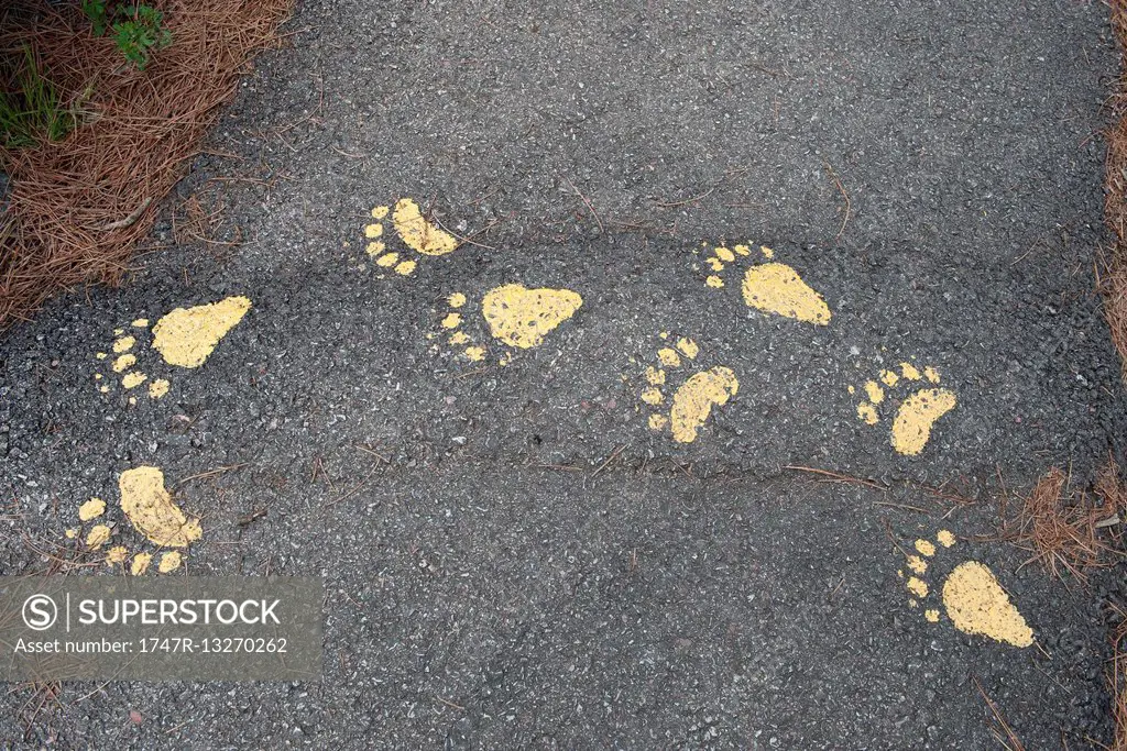 Pawprints painted on paved path