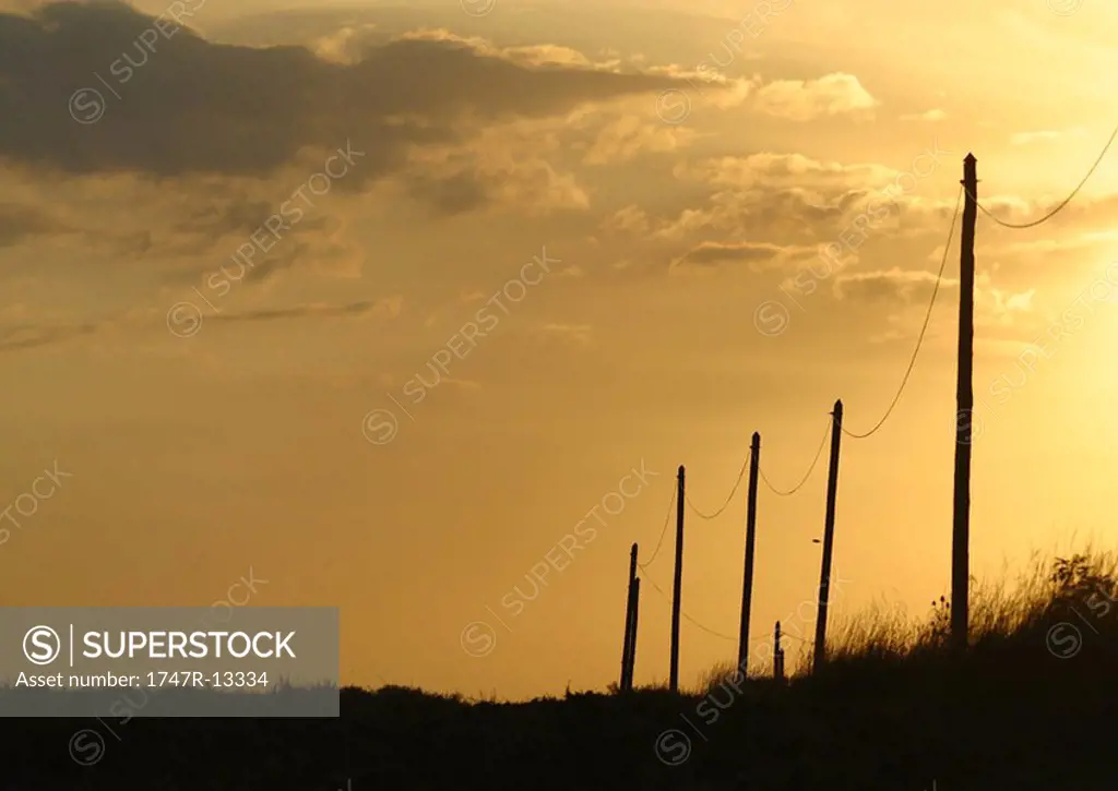 Telephone posts silhouetted at sunset