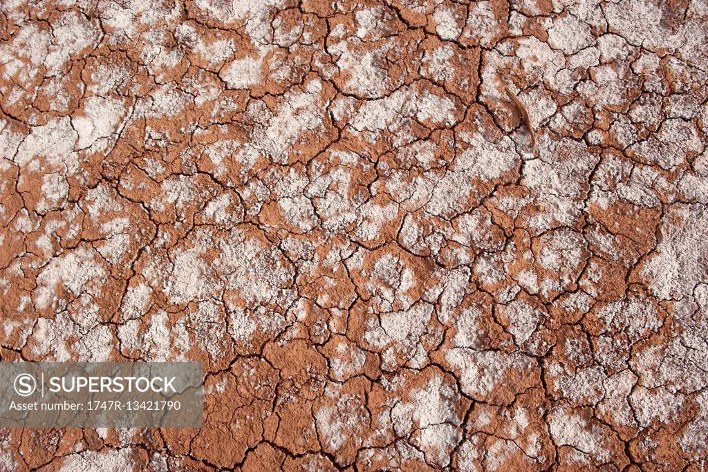 Close-up of dry, cracked soil
