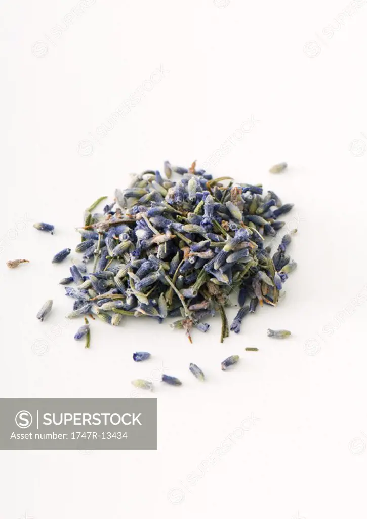 Dried lavender flowers