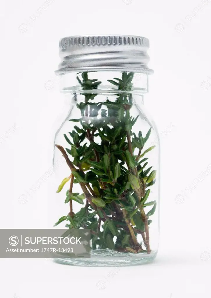 Bottle containing sprigs of thyme