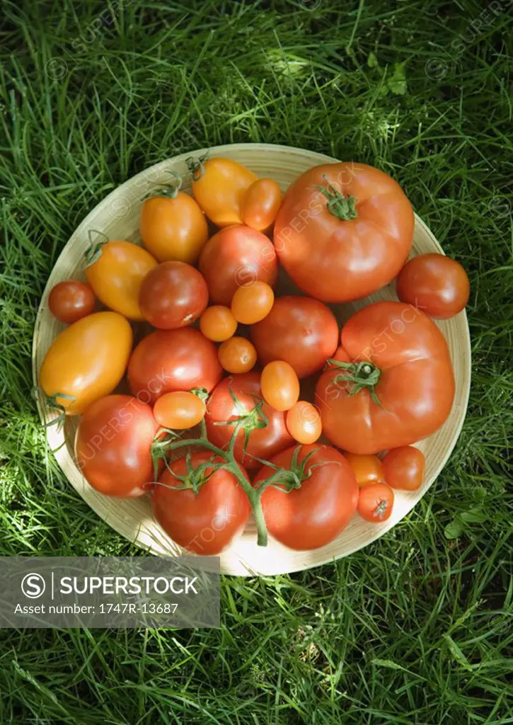Assortment of tomatoes in bowl, on grass, high angle view