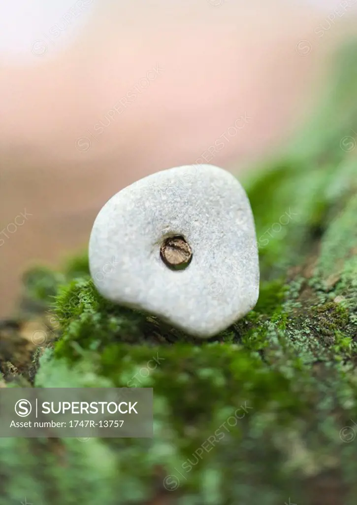 Stone with hole on moss
