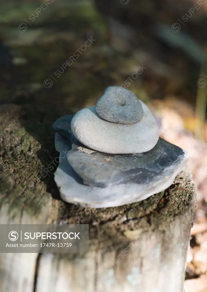 Stack of stones on stump