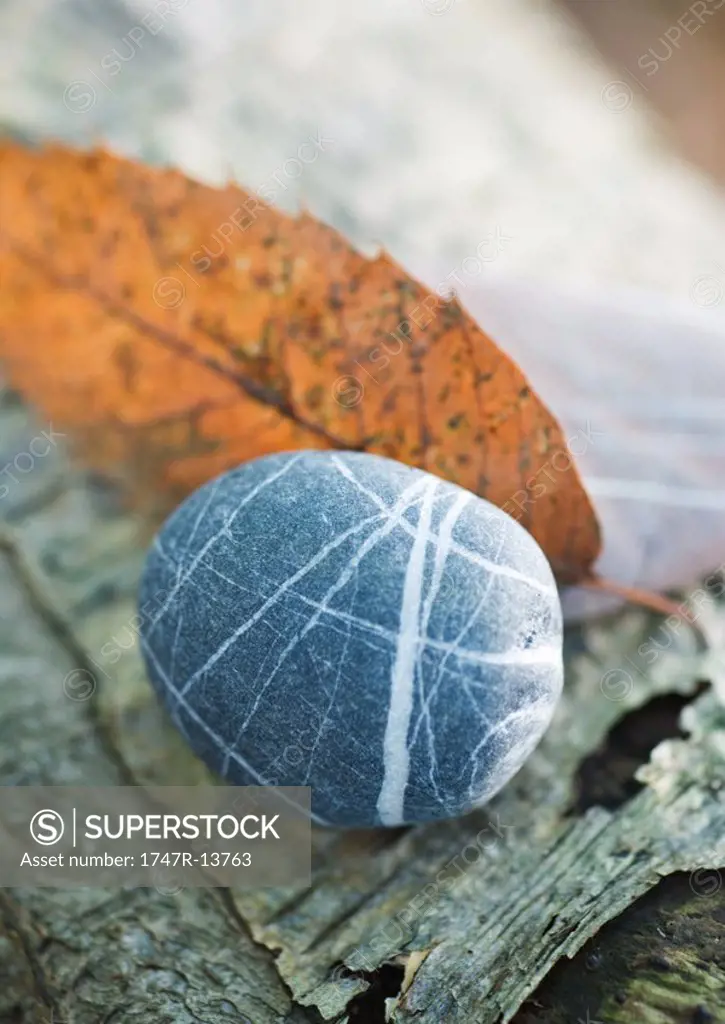 Pebble, leaf and bark