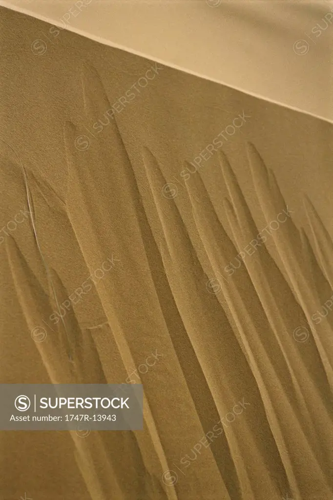 Dune in Sahara desert, Morocco, close_up