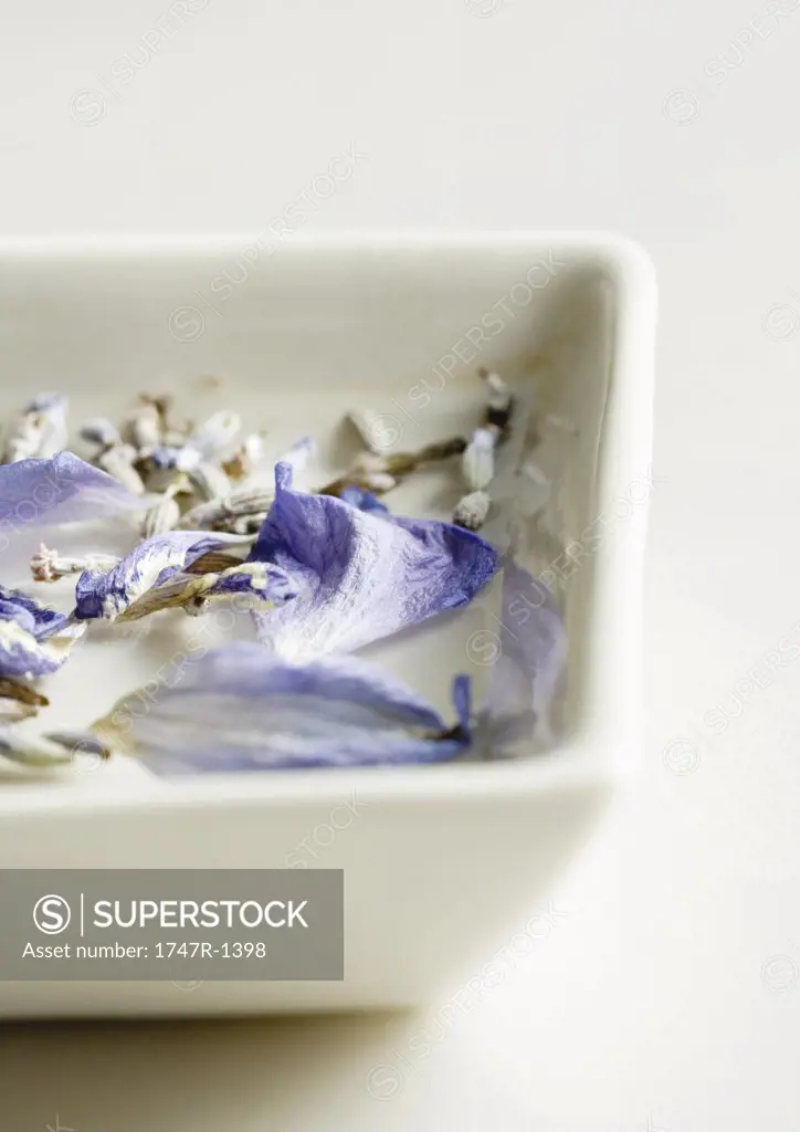 Petals and dried lavender floating in dish