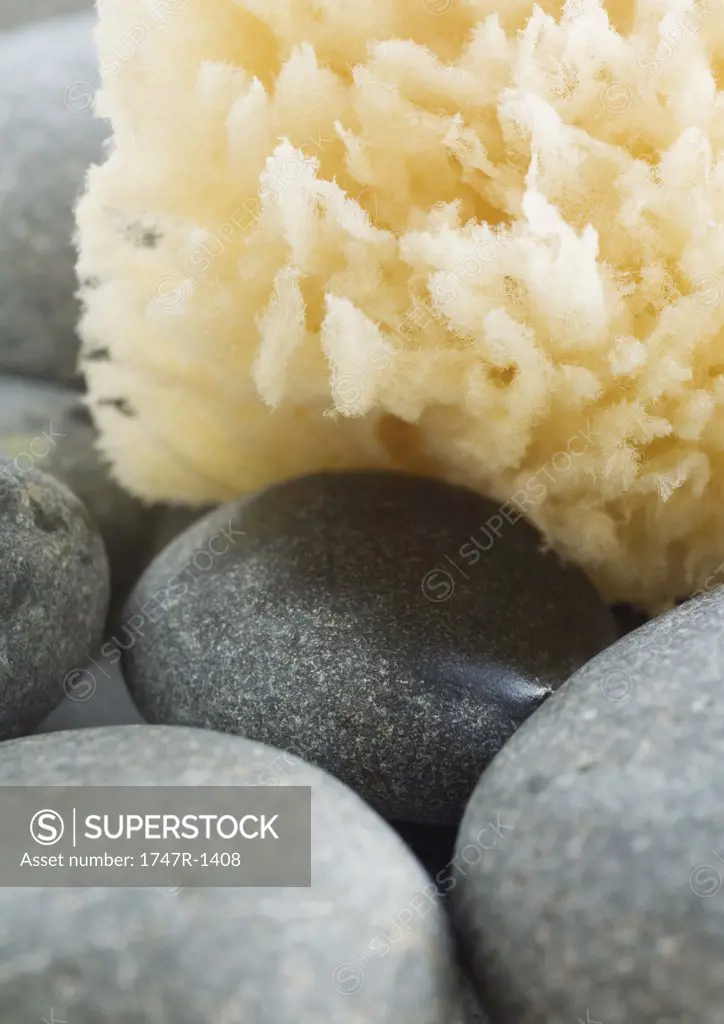 Natural sponge and stones, extreme close-up