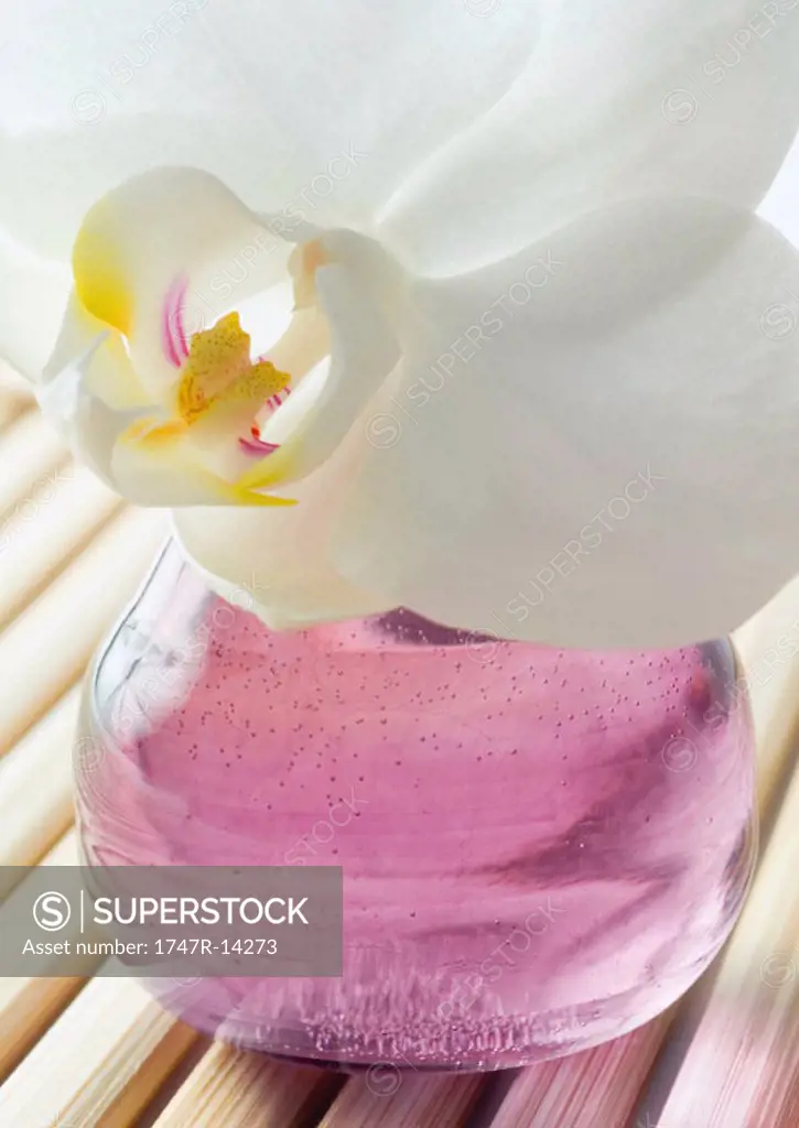 Soap and orchid blossom