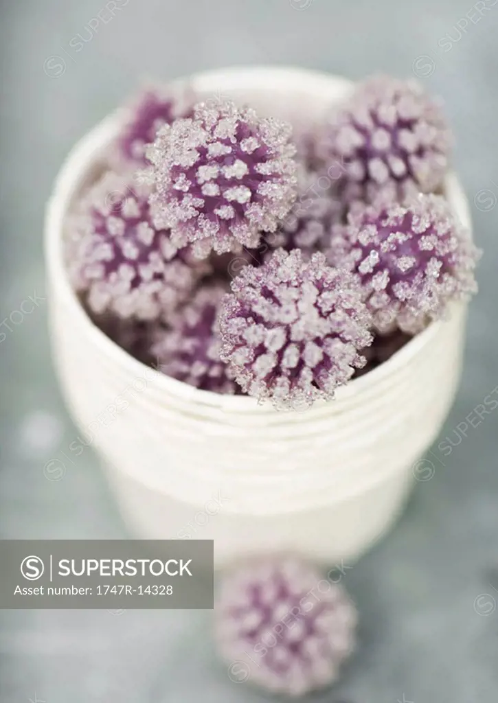 Crystallized flowers, high angle view