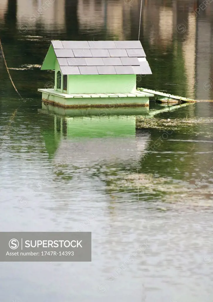 Duckhouse on pond