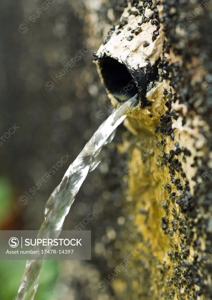 Water running out of pipe