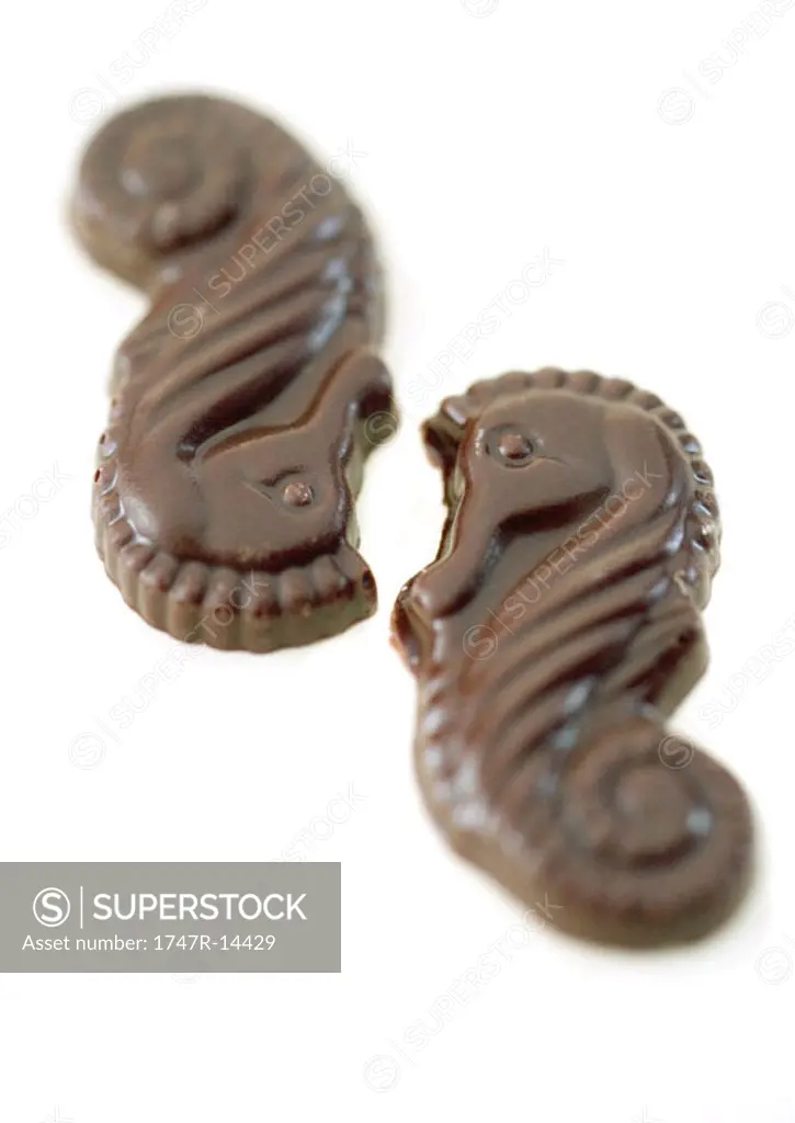 Chocolate seahorses