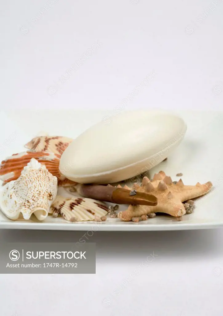 Soap and seashells in dish