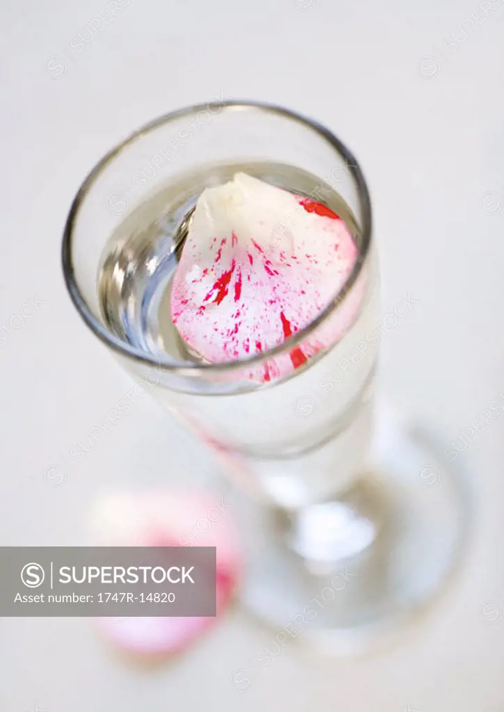 Flower petals in glass of water