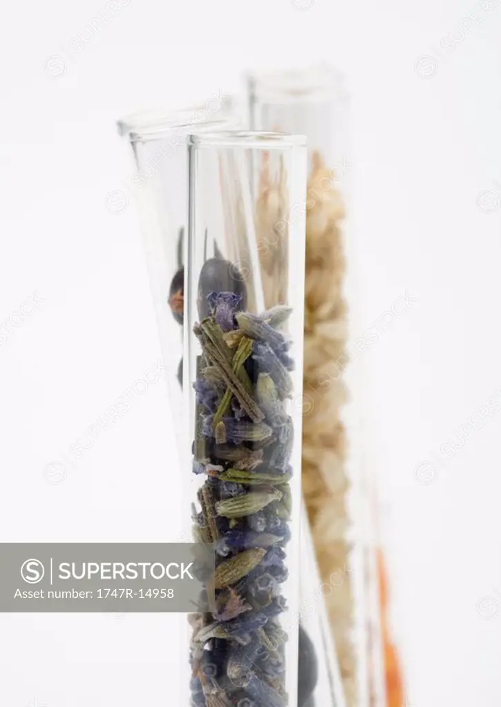 Test tubes holding dried flowers