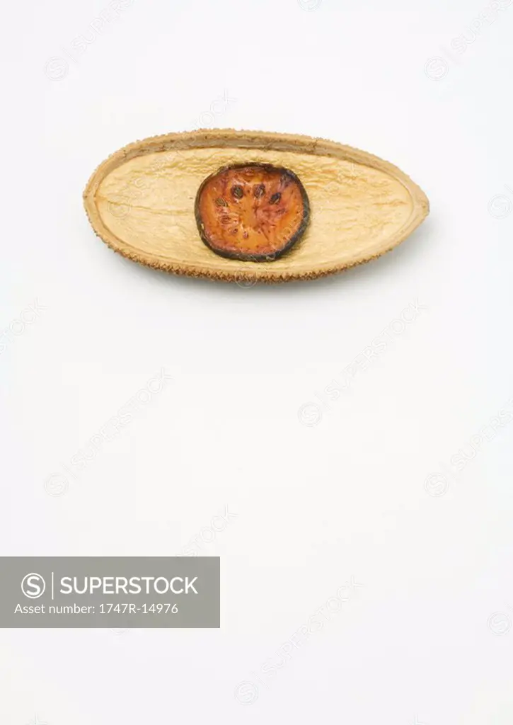Slice of dried lotus pod