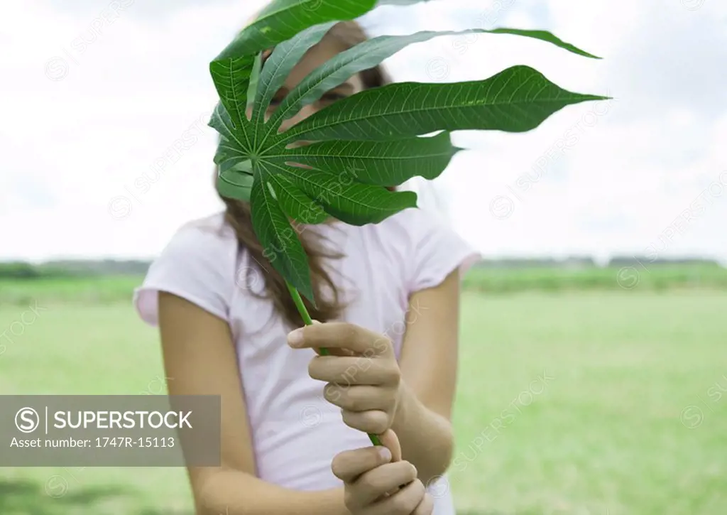 Girl holding up cassava leaf in front of face