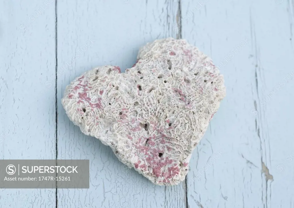 Heart shaped piece of coral