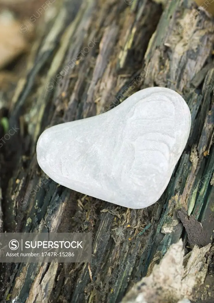Heart shaped pebble on bark, close-up