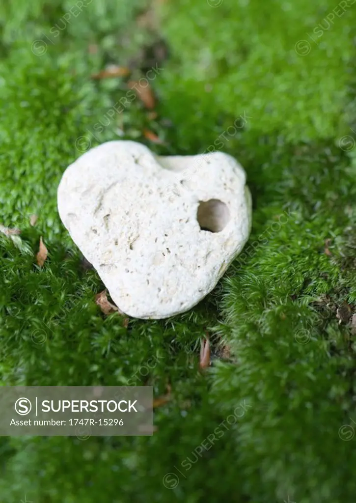Pebble with hole on moss, extreme close-up