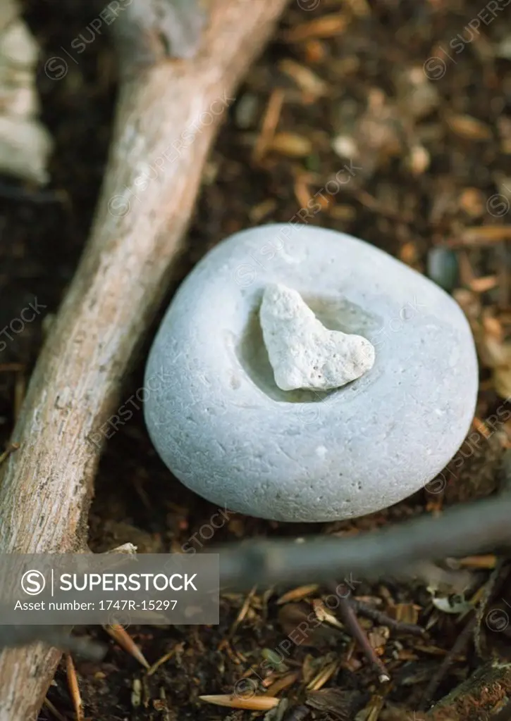 Heart shaped pebble on top of stone, with branches
