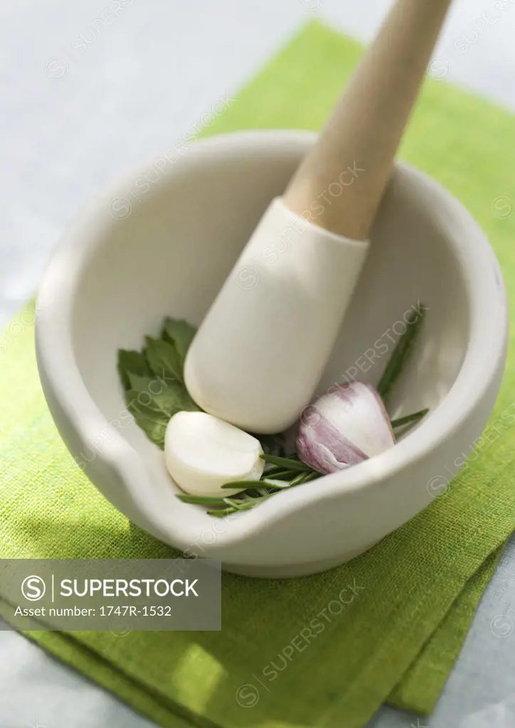 Mortar and pestle with herbs and garlic