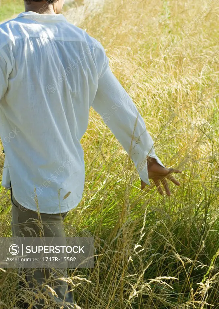 Man walking through field, touching tall weeds
