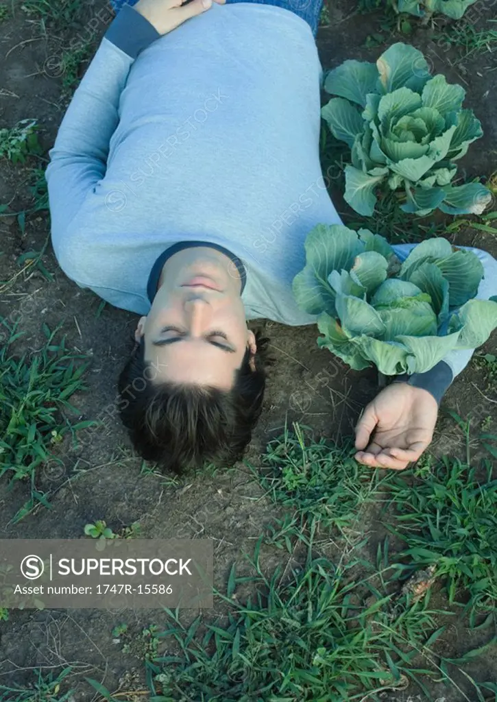 Man lying on ground, arm around cabbage plant