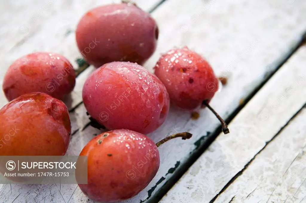 Dew-covered ripe plums