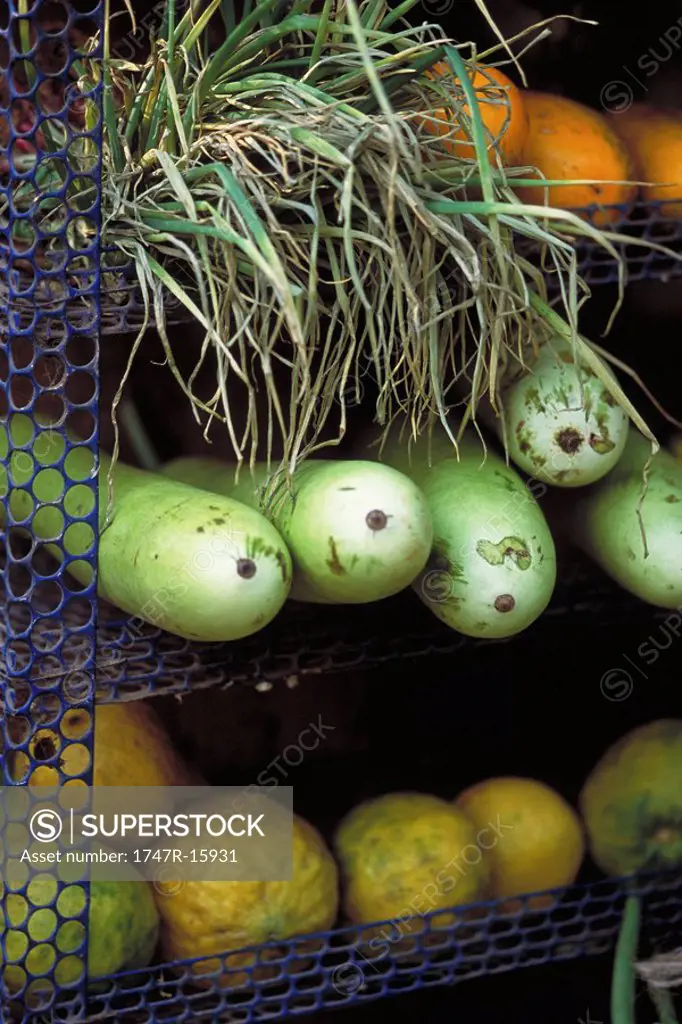 Opo squash and assorted produce on shelves