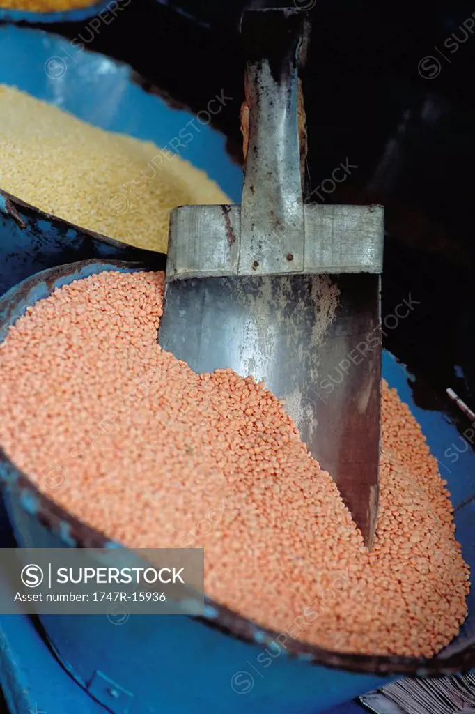Red lentils in large container with scoop