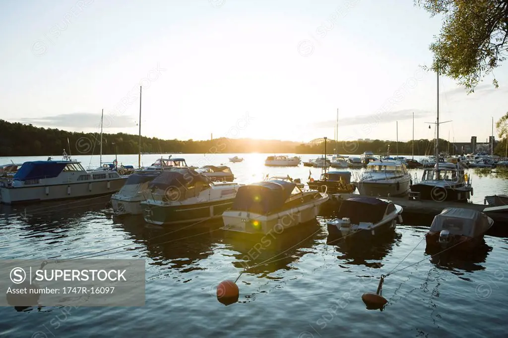 Sweden, Stockholm, marina at sunset