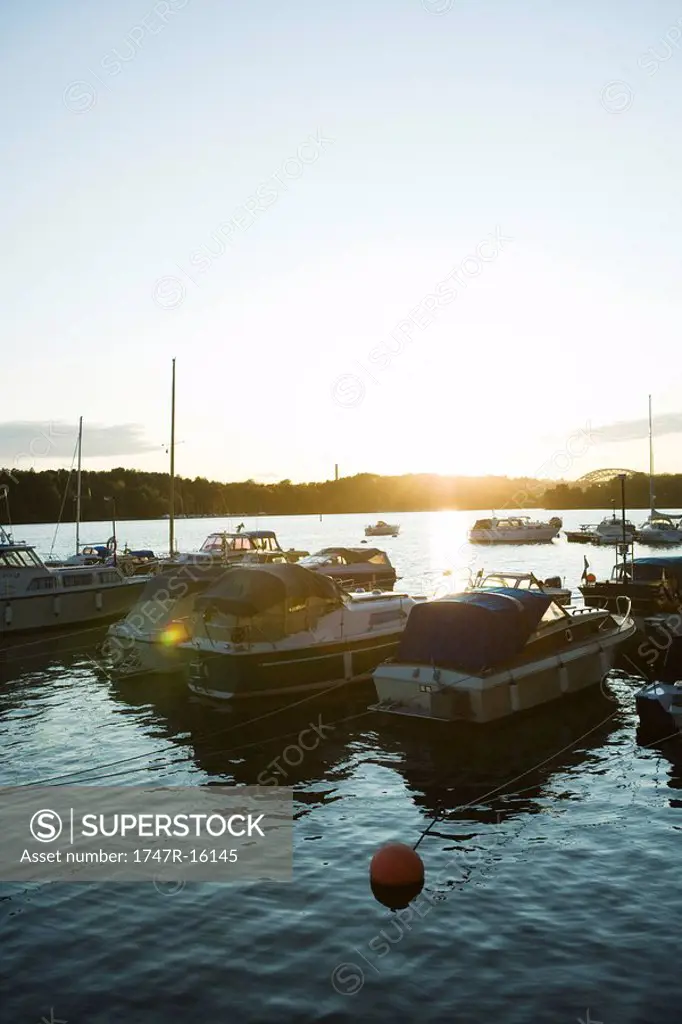 Sweden, Stockholm, Lake Malaren, marina at sunset