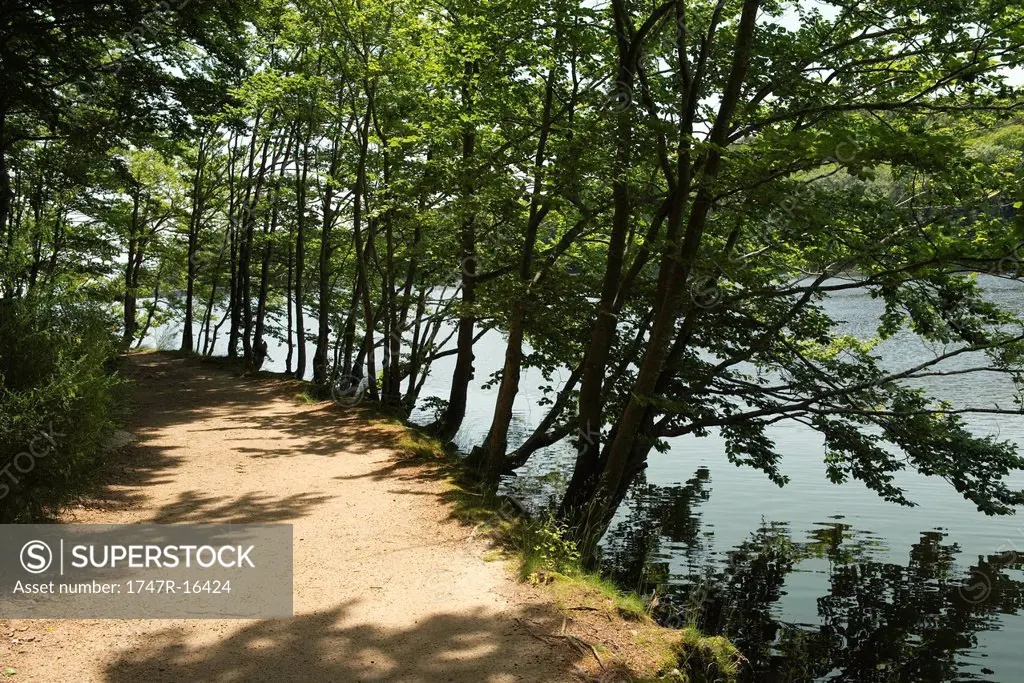 Hiking trail along lake