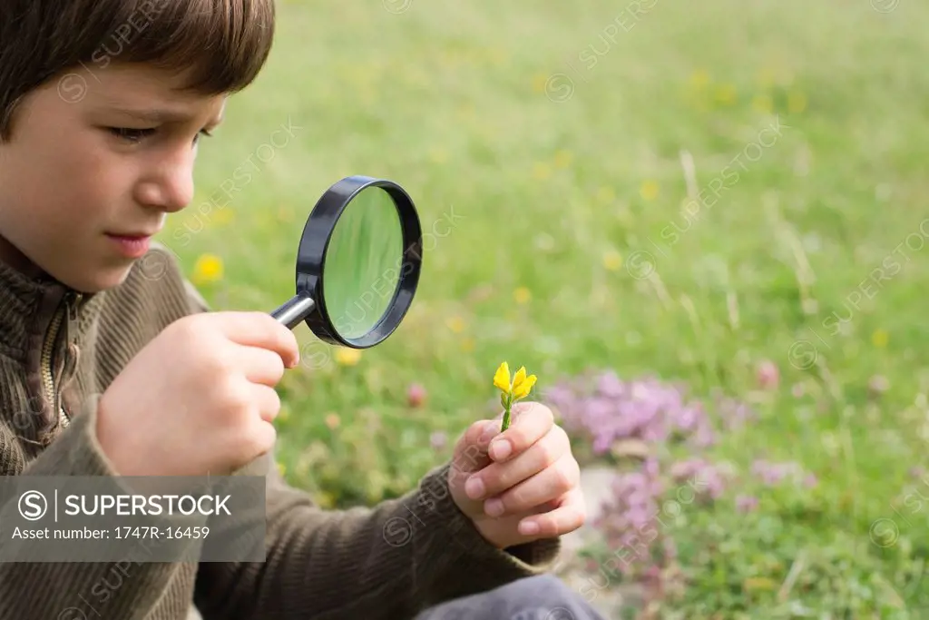 Boy studying wildflower with magnifying glass