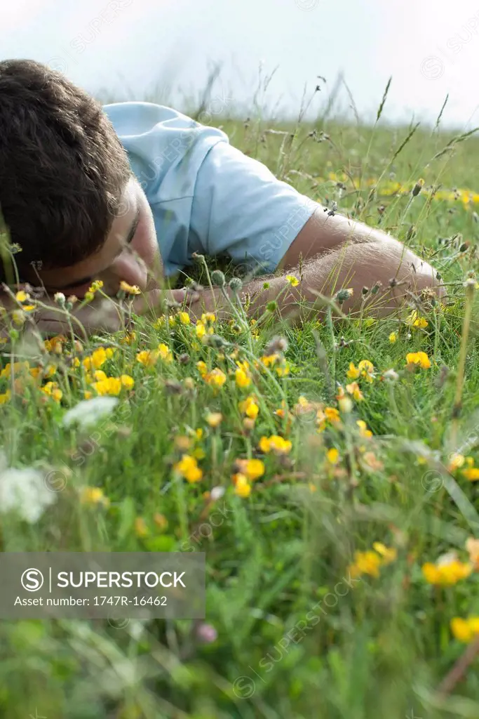 Man napping on meadow
