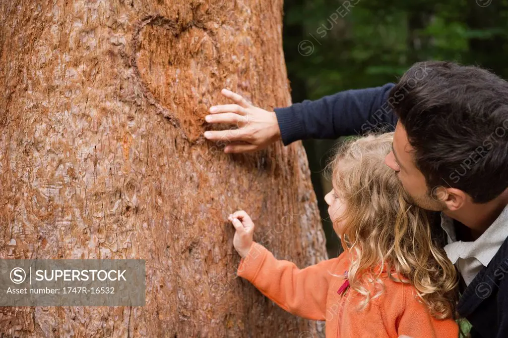 Father and young daughter touching tree trunk