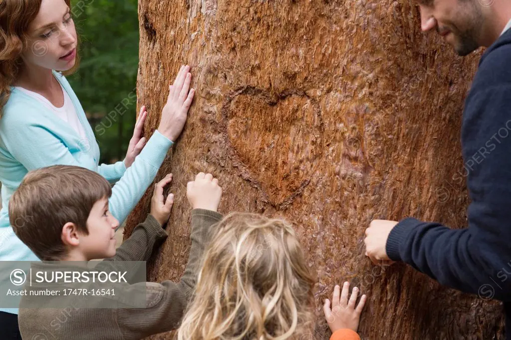 Family touching tree trunk