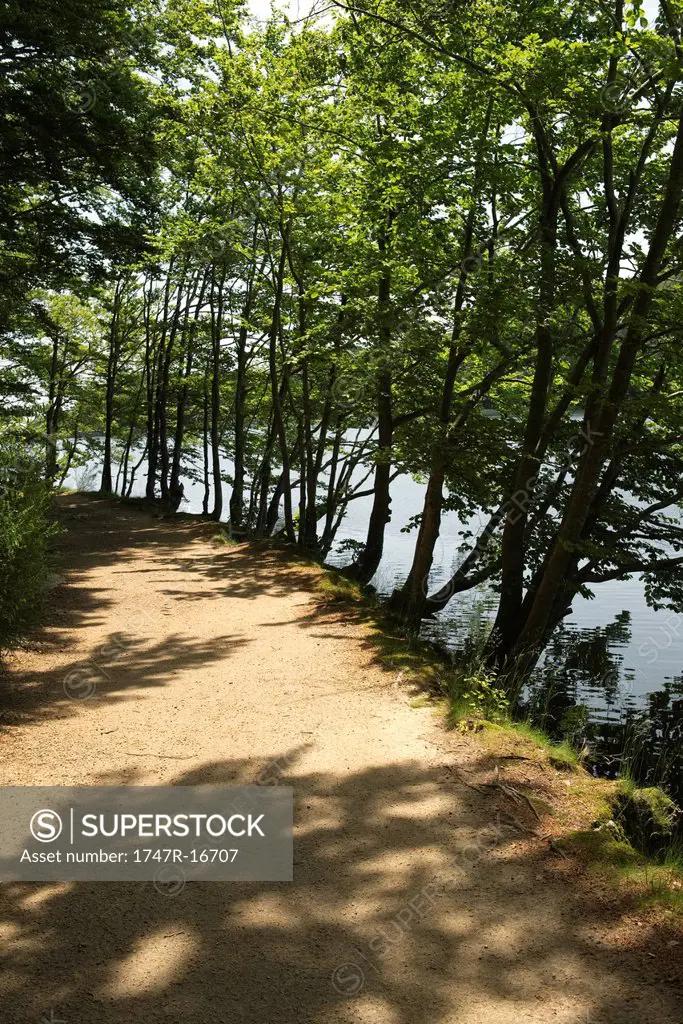 Hiking trail along lake