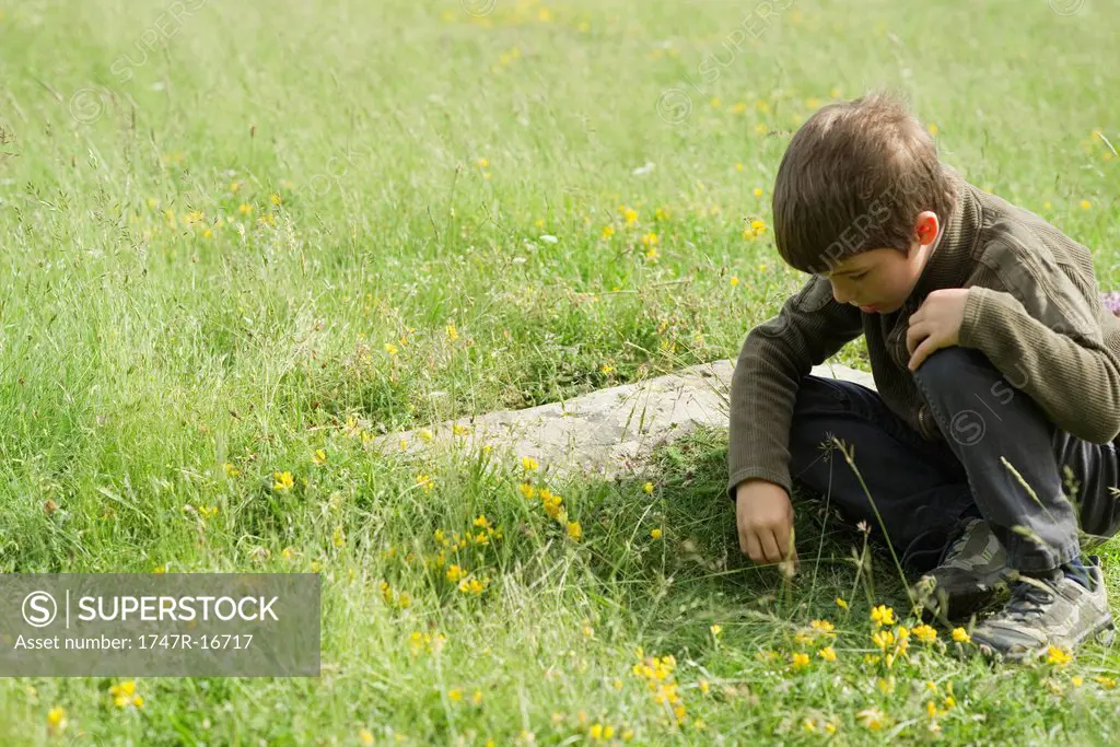 Boy crouching in grass, looking at something on the ground