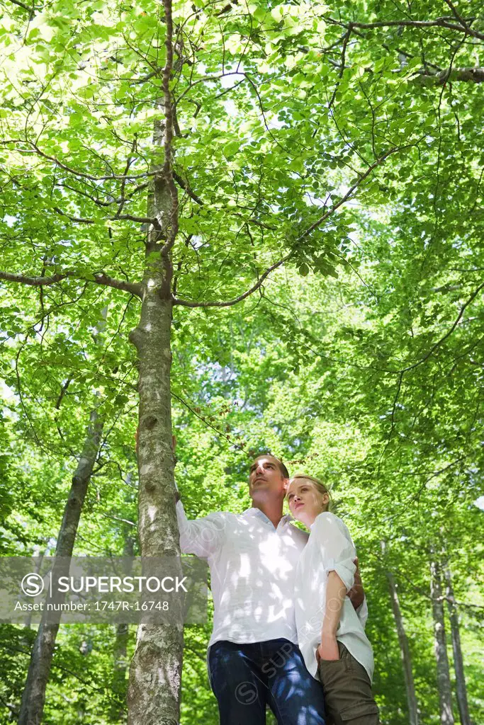 Couple in woods, low angle view