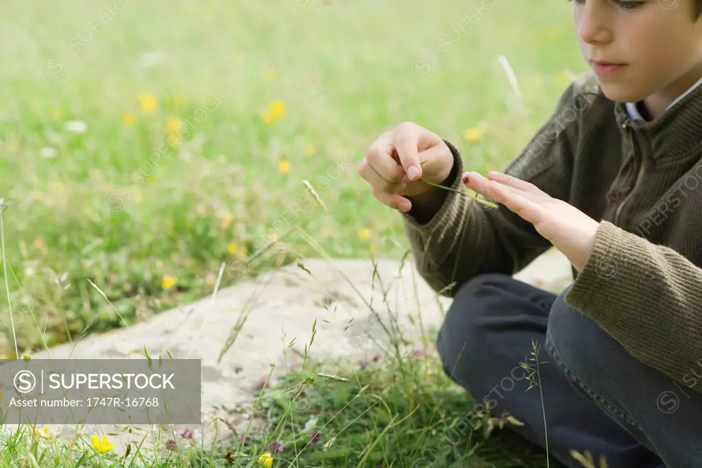Boy sitting on grass, playing with ladybug