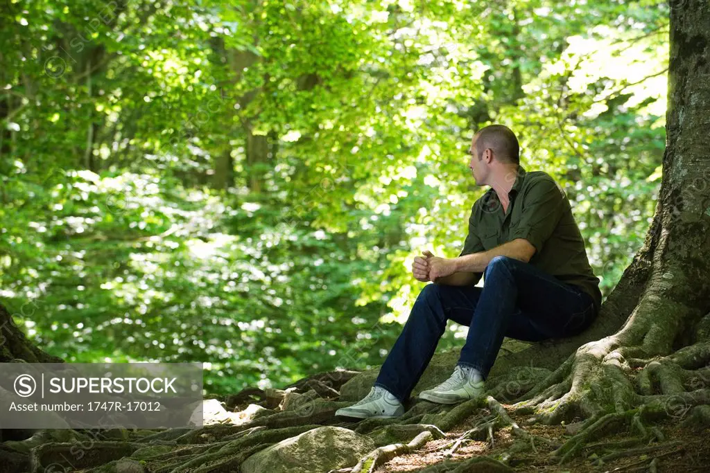 Man sitting on tree roots in woods