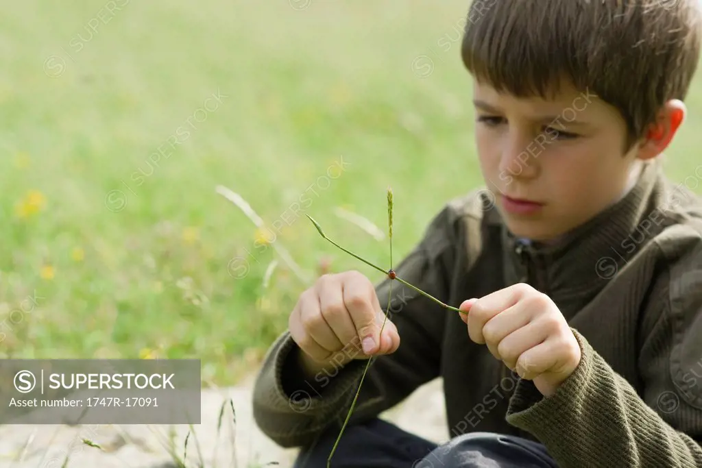 Boy sitting in grass, watching ladybug crawling on twig